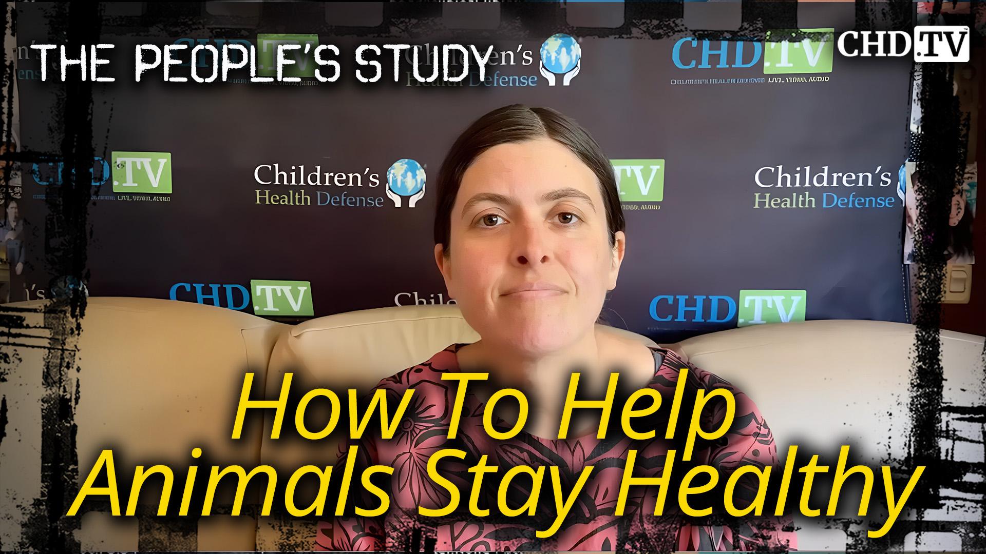 How To Help Animals Stay Healthy