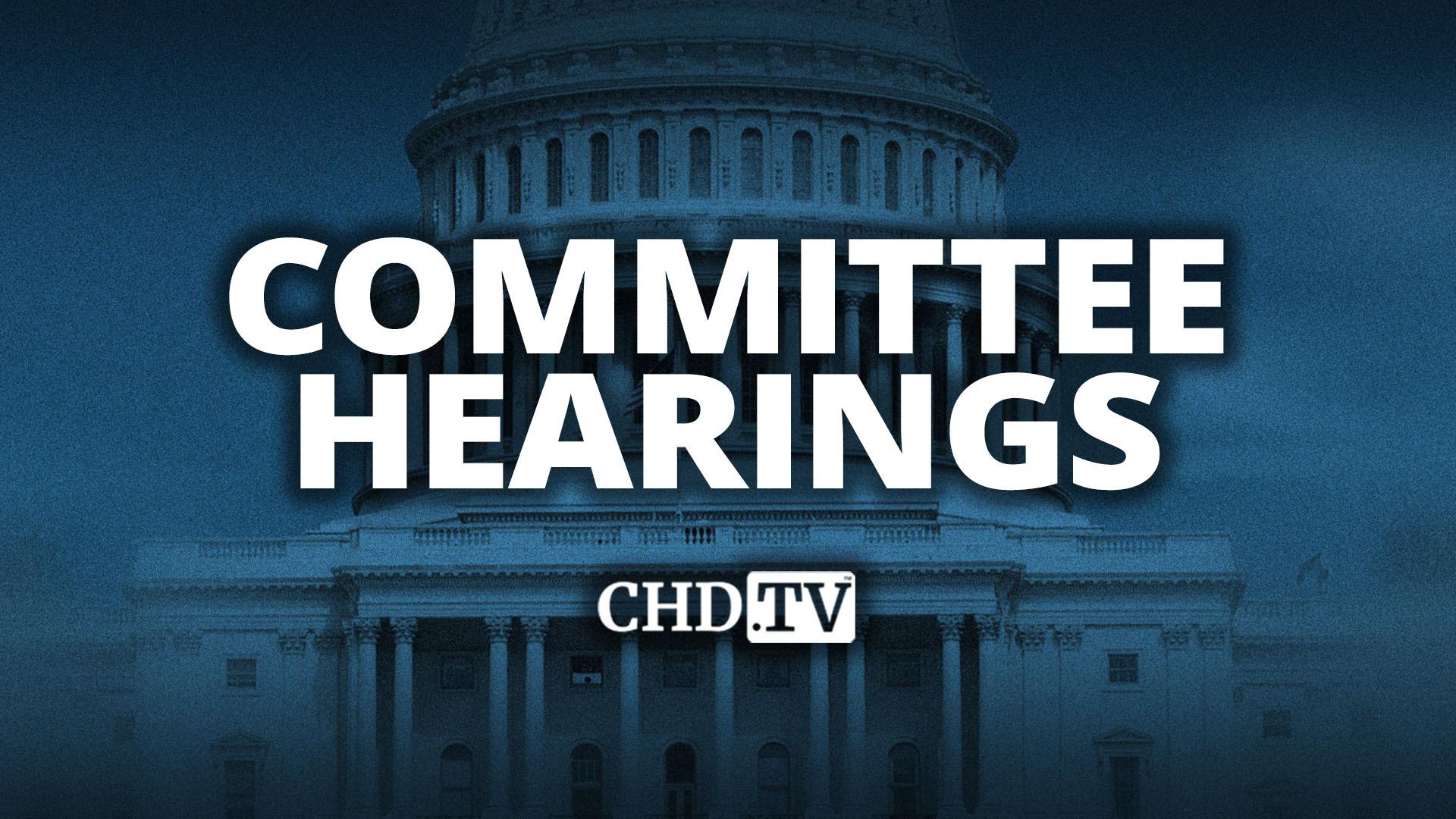 Hearing Entitled: U.S. Treasury Debt in the Monetary System